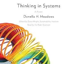 Thinking In Systems